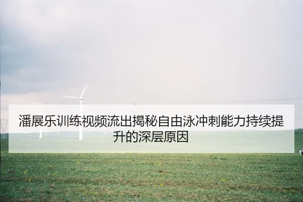 潘展乐训练视频流出揭秘自由泳冲刺能力持续提升的深层原因